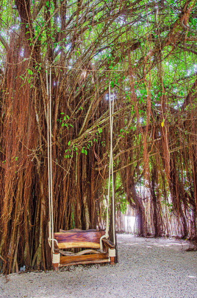 namaste beach club cartagena templo gaia
