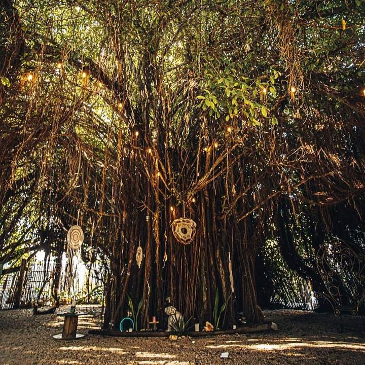 cartagena namaste beach templo gaia